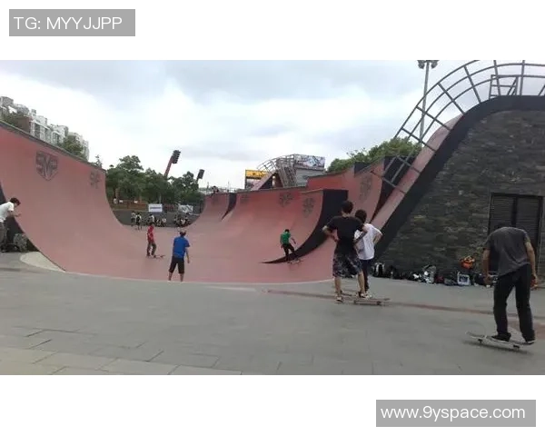 上海极限运动队协作能力深度解析与对比分析