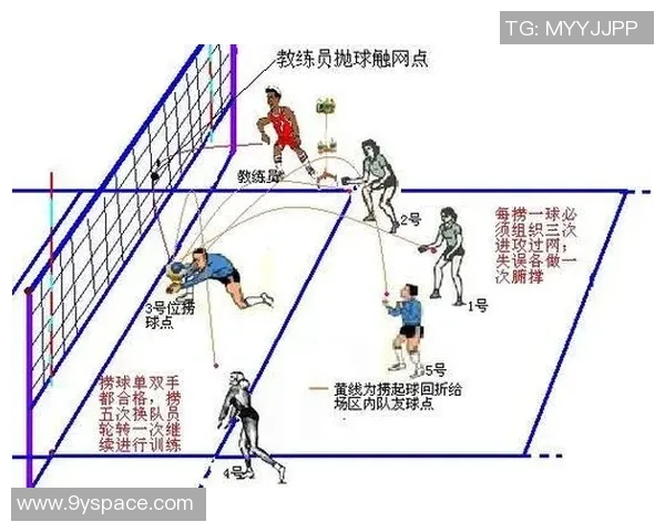 从零开始掌握排球技巧与战术全面指南助你成为排球高手 从零开始掌握排球技巧与战术全面指南助你成为排球高手