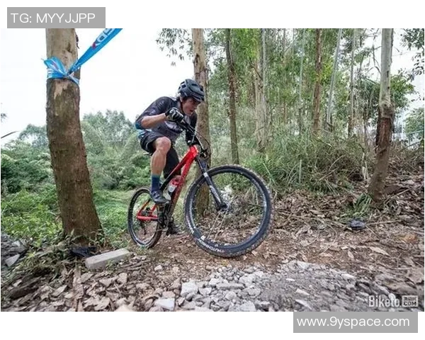 成都极限运动队战术分析与发展策略探讨之旅 成都极限运动队战术分析与发展策略探讨之旅